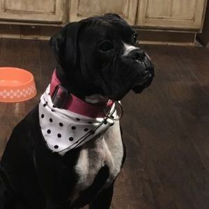 Meet your Posher, Brit